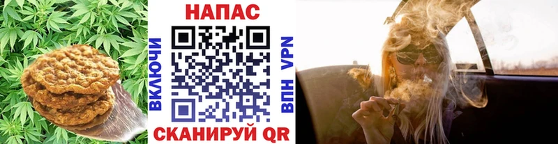как найти   Чернушка  Cannafood марихуана 