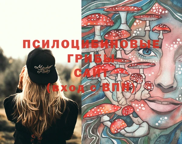 стаф Армянск