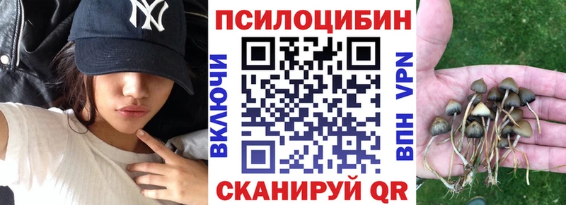 наркотики  Чернушка  Псилоцибиновые грибы мухоморы 